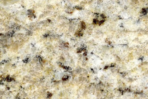 amarel ornamental